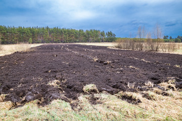Cultivated soil for sowing grain, spring growing season