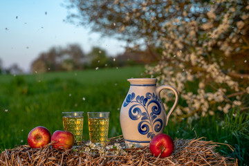 Traditional German Apple Wine from the Hesse Region. Wine in an old jug