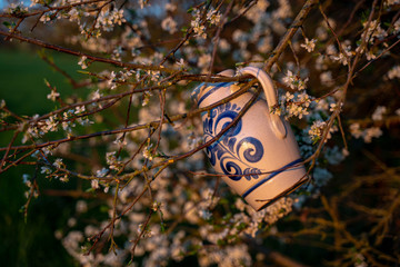 A jug for wine hangs on a branch of a blossoming apple tree. Bembel on a branch