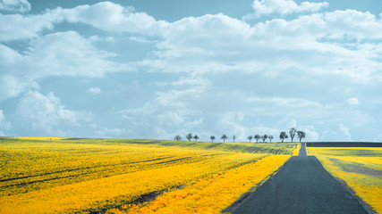 Rural landscape during spring in austria, shot in Infrared IR