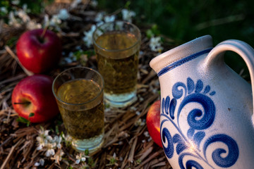 Traditional German Apple Wine from the Hesse Region. Wine in an old jug