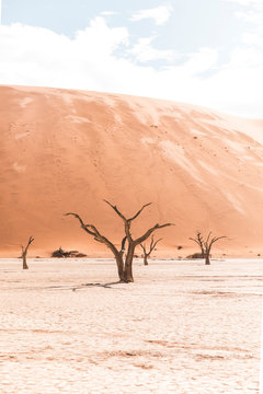 Sossusvlei Namibia