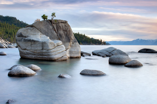 Lake Tahoe Bonsai Rock