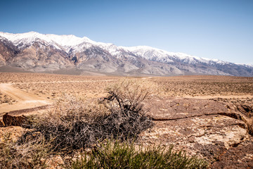 Chalfant Valley with its famous petroglyphs in the rocks - travel photography