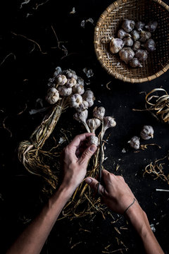 Asian garlic
