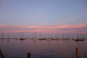 Chicago Pink sunset