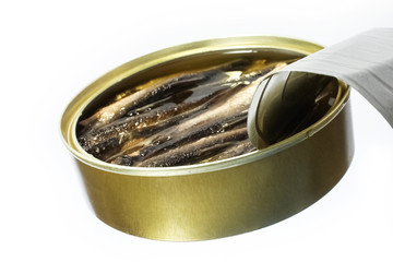 beautiful slave sprats on a white background