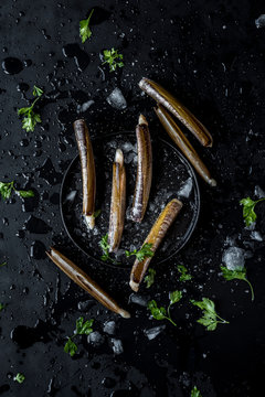 Fresh Razor shells - Navajas frescas