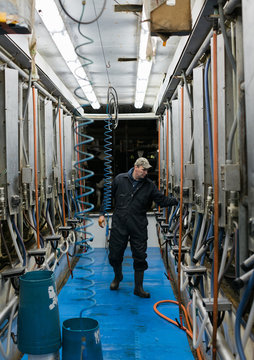 Dairy farm testing machinery in milking area