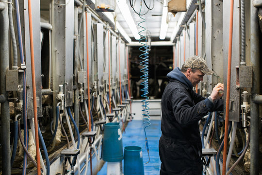 Dairy farm testing machinery in milking area