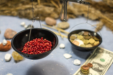 composition with scales, red pepper and coins