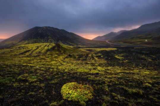 Mars if it had anything Green