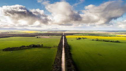 A dirt rural road leads off into the distance surrounded on both sides by lush fertile green farming countryside on a fair weather day