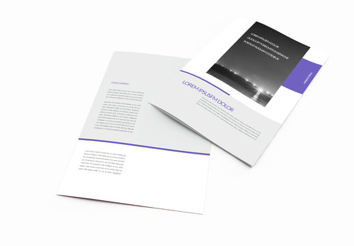 Bifold Brochure with Purple Accents