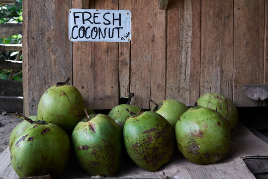 Fresh coconuts for sale on the floor of a vendor stand. Batad, P