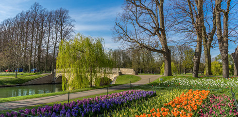 Obraz premium River Cam near Kings College in the city of Cambridge, United Kingdom and blooming flowers on the foreground