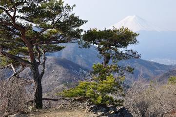 清八山山頂より望む富士山