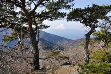 Fototapeta na wymiar 清八山山頂より望む富士山