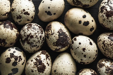 Quail eggs. Flat lay composition with small quail eggs on the black wooden background.