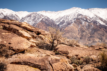 Chalfant Valley with its famous petroglyphs in the rocks - travel photography