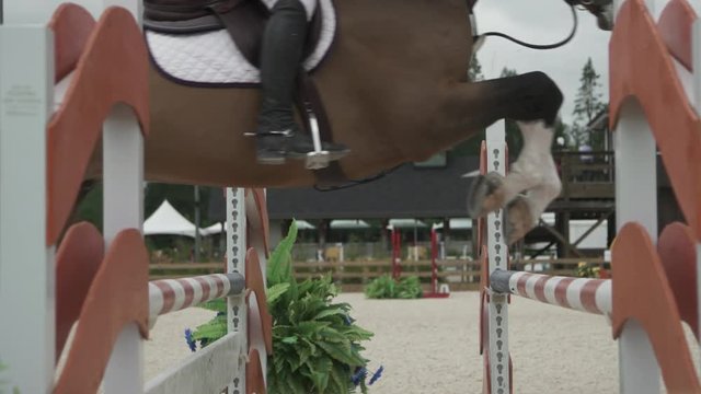 Slow Motion Close Up of an Equestrian Horse Jumping Over A Barrier