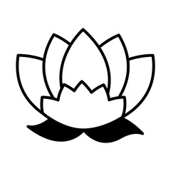 flower leaves nature