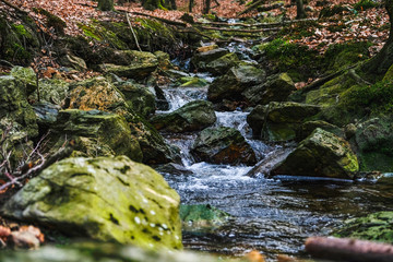 Stream/Creek in Belgium