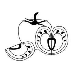 Fresh tomato slices cartoon in black and white