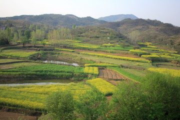 Fototapeta premium China Railway High-speed