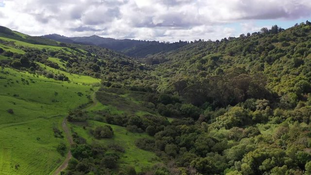 Morning light illuminates the hills surrounding San Francisco Bay. A wet winter has caused lush vegetation growth in the East Bay hills near Oakland and Berkeley. 