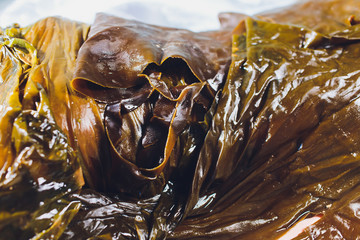 Spa treatment with algae. Woman on seaweed wraps at a spa salon. Firming procedure. © Евгений Вершинин