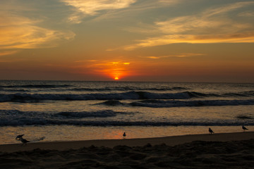 Fototapeta premium sunrise on beach