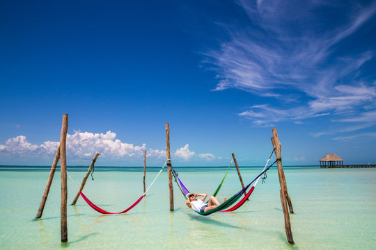 Caribbean beach hammock