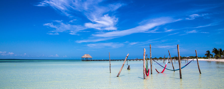 Caribbean beach hammock