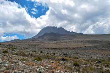 The highland desert against the background of Mawenzi Peak, Mount Kilimanjaro, Tanzania