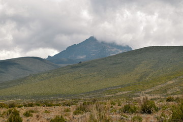 The highland altitude moorland against a mountain background, Mount Kilimanjaro National Park, Tanzania