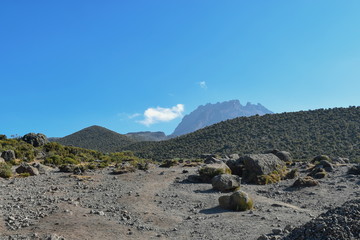 The highland desert against the background of Mawenzi Peak, Mount Kilimanjaro, Tanzania