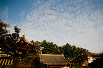 Fototapeta na wymiar 鱗雲と寺院