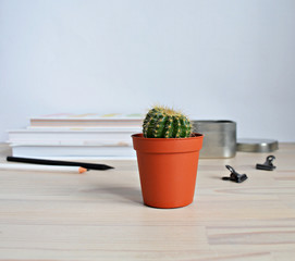 Mini cactus pot, pencils and clips on the wooden desk