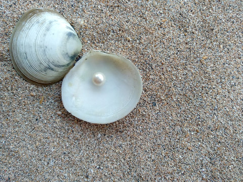 Shells and pearls in the sand. Shell with a pearl on a beach sand. An open sea shell with a pearl inside. Shell with a pearl.