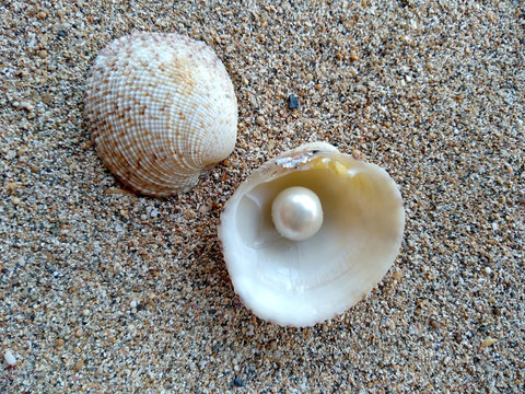 Shells and pearls in the sand. Shell with a pearl on a beach sand. An open sea shell with a pearl inside. Shell with a pearl.