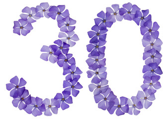 Numeral 30, thirty, from natural blue flowers of periwinkle, isolated on white background