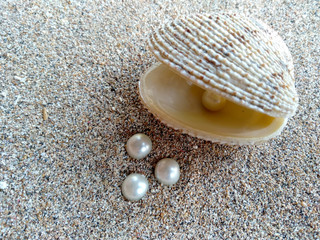 Shells and pearls in the sand. Shell with a pearl on a beach sand. An open sea shell with a pearl inside. Shell with a pearl.