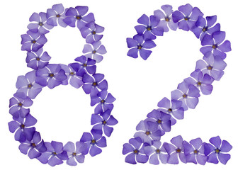 Numeral 82, eighty two, from natural blue flowers of periwinkle, isolated on white background