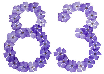 Numeral 83, eighty three, from natural blue flowers of periwinkle, isolated on white background