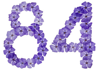 Numeral 84, eighty four, from natural blue flowers of periwinkle, isolated on white background