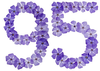 Numeral 95, ninety five, from natural blue flowers of periwinkle, isolated on white background