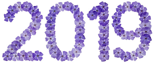 Inscription 2019, from natural blue flowers of periwinkle, isolated on white background