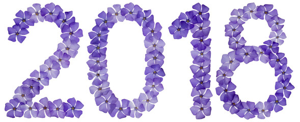 Inscription 2018, from natural blue flowers of periwinkle, isolated on white background