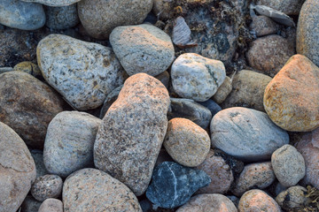 Mid-sized rocks, stones, and pebbles in various colors and shapes